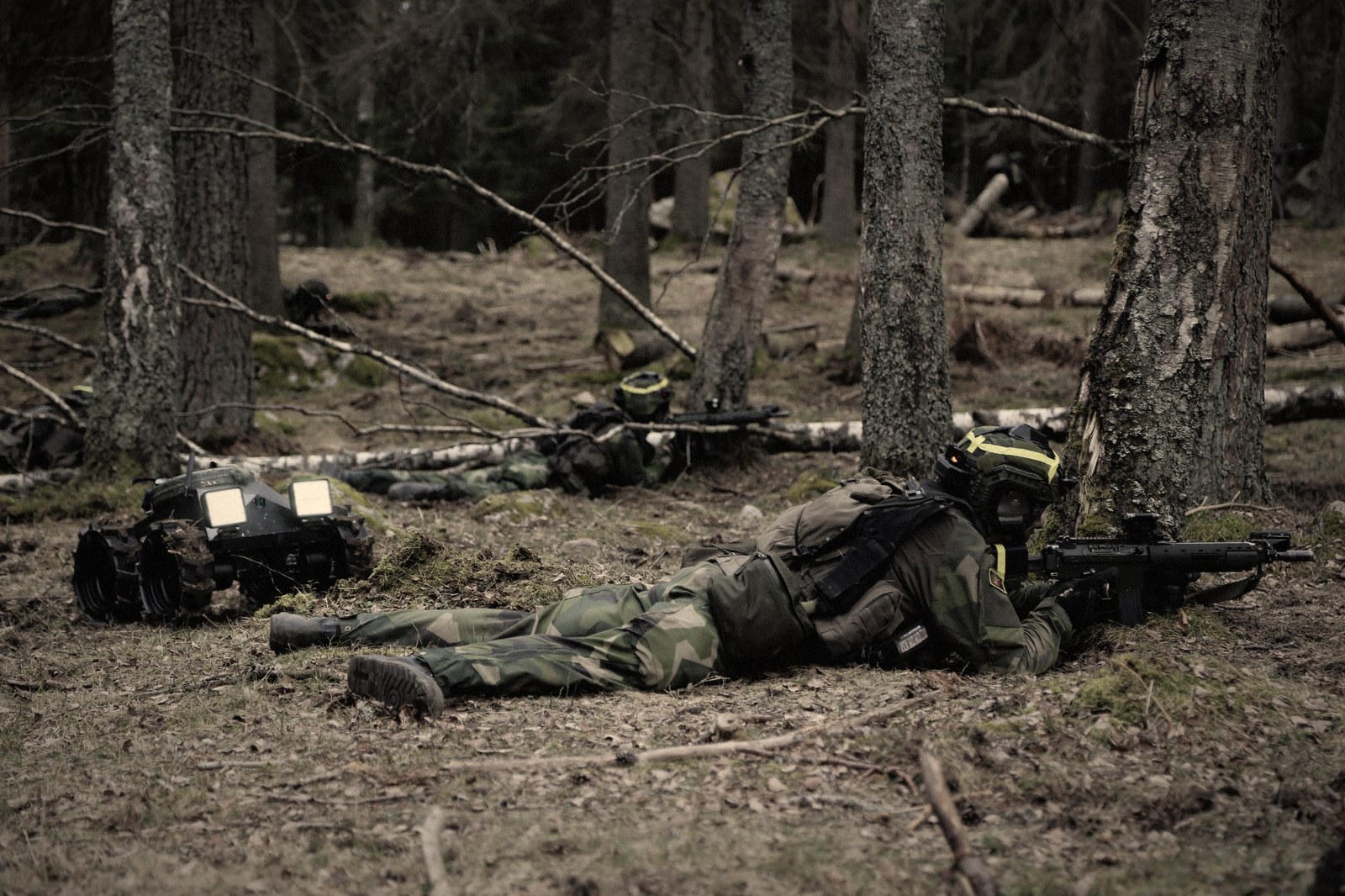 RÅTTAN with combat pair, Aurora 26